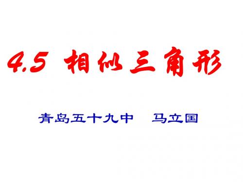 相似三角形ppt5 人教版