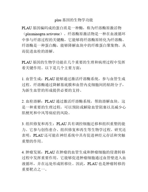 plau基因的生物学功能