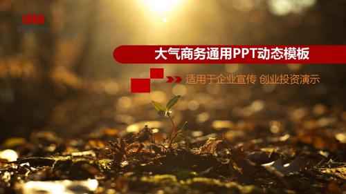 杂志风商务实用总结汇报PPT模版