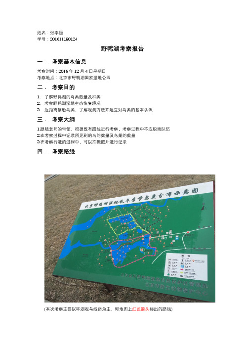 北师大环境科学概论-课下作业：野鸭湖考察报告