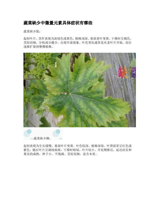 蔬菜缺少中微量元素具体症状有哪些