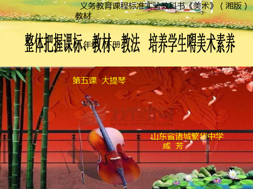 最新湘教版美术八年级下册第五课《大提琴》ppt课件2 