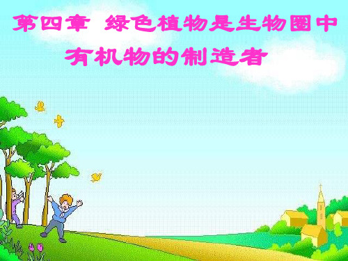初中生物七年级上册第四章_绿色植物是生物圈中有机物的制造者6