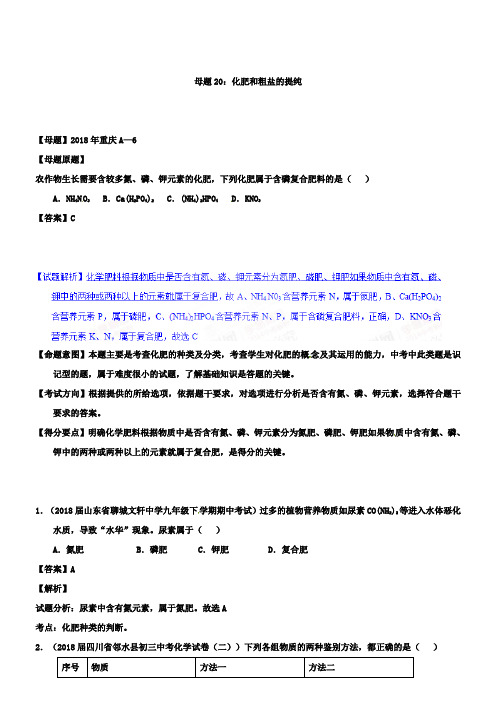 中考化学第一轮复习专题20化肥和粗盐的提纯(解析版)
