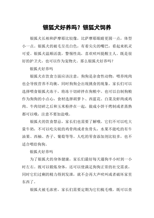 银狐犬好养吗？银狐犬饲养