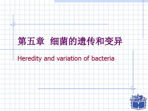 细菌的遗传和变异PPT演示文稿
