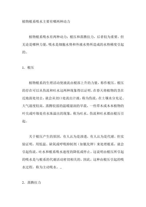 植物根系吸水主要有哪两种动力