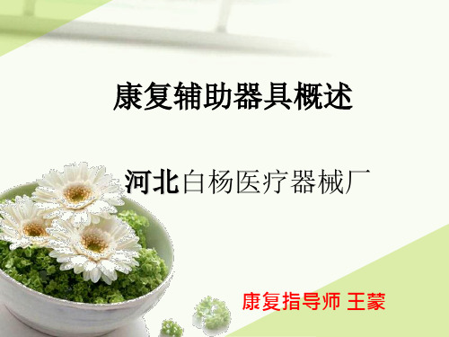 康复器材和辅助器具简要概述