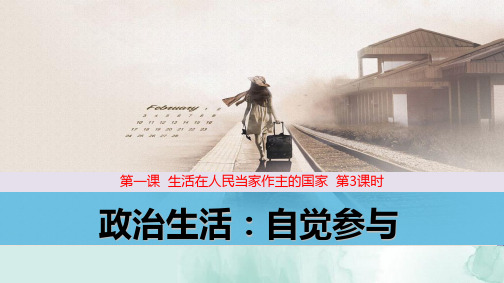 人教版高中政治必修2精品课件8：1.3 政治生活：自觉参与