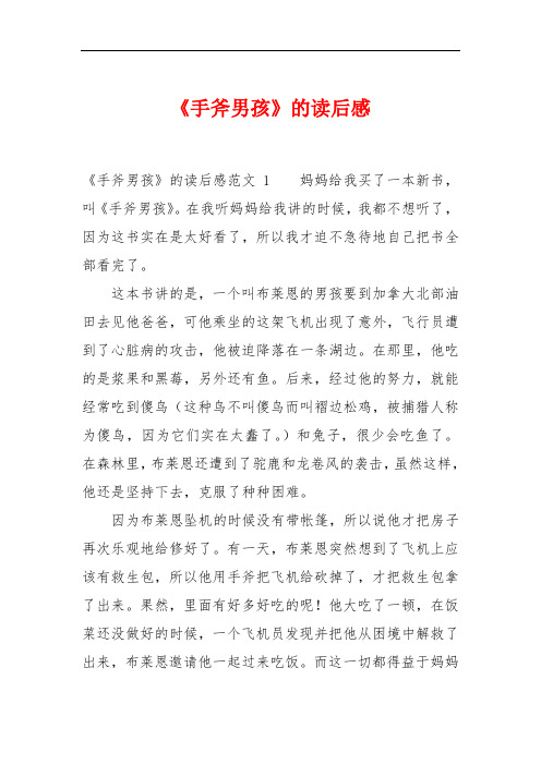 《手斧男孩》的读后感