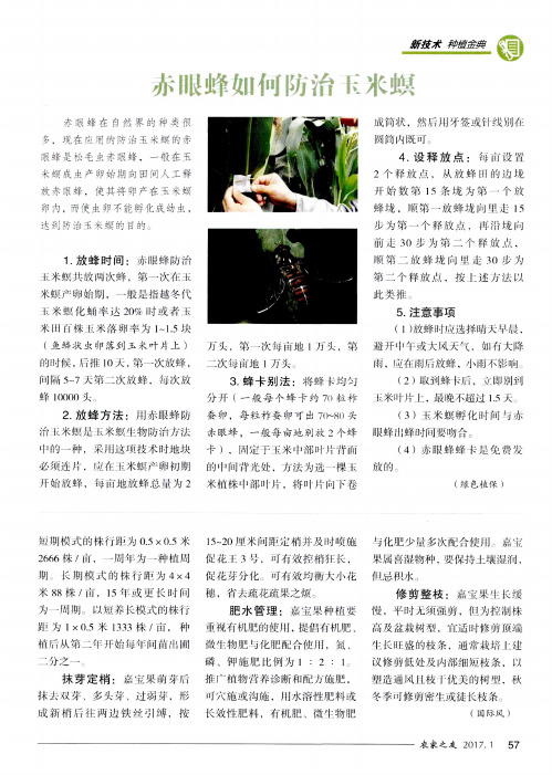 赤眼蜂如何防治玉米螟
