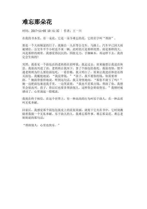 难忘那朵花