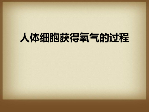 人体细胞获得氧气的过程-PPT课件