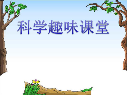 三年级上册科学课件-4.1《寻访蚂蚁》 ｜大象版    (共21张PPT)