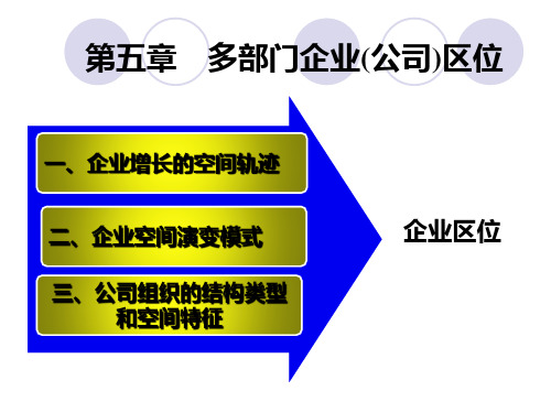 经济地理学第5章--多部门企业(公司)区位