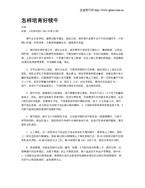 怎样培育好犊牛