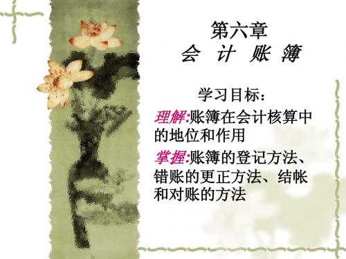 第六章.会计帐簿ppt