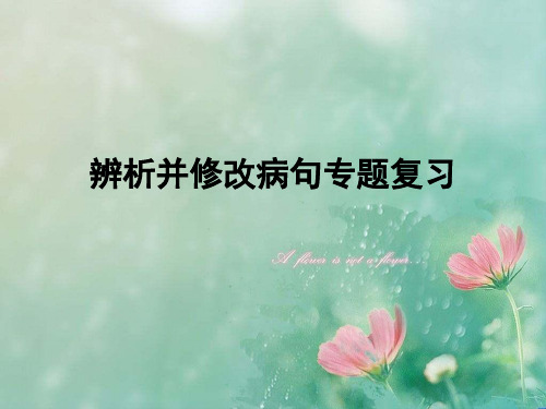 高三语文复习专题：病句(一)大纲 精品优选公开课件