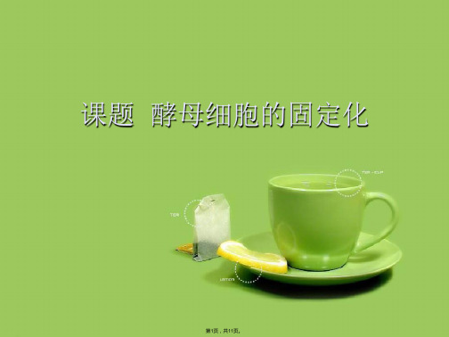 课题  酵母细胞的固定化(共11张PPT)