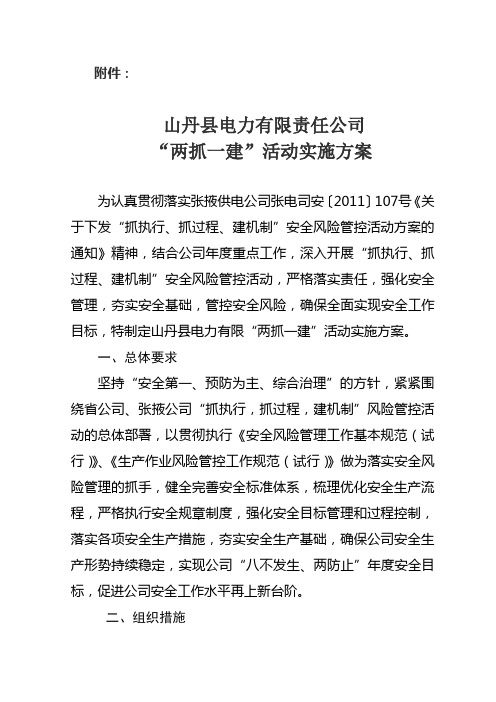 “两抓一建”活动方案