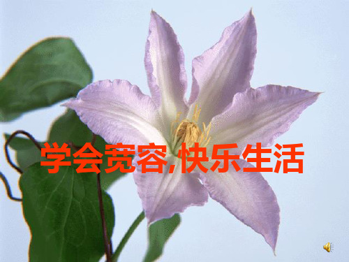 学会宽容快乐生活班会