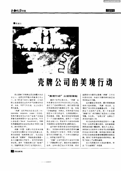 壳牌公司的美境行动