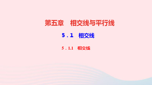 七年级数学下册第五章相交线与平行线5.1相交线5.1.1相交线作业课件新版新人教版