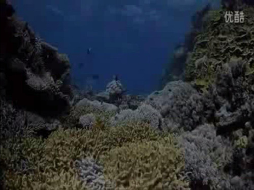 二年级语文上《识字728 浅水洼里的小鱼》54PPT课件 一等奖名师公开课比赛优质课评比试讲