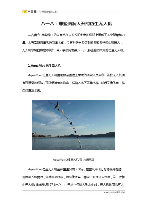 八一八：那些脑洞大开的仿生无人机