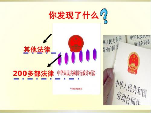 八年级政治《人民是国家的主人》课件人教新课标版