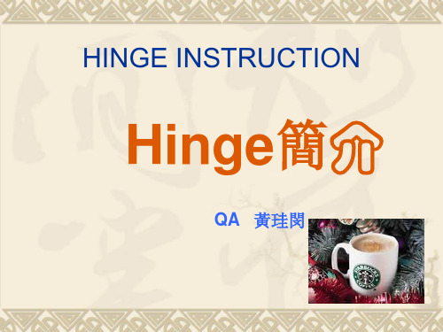 hinge instruction2