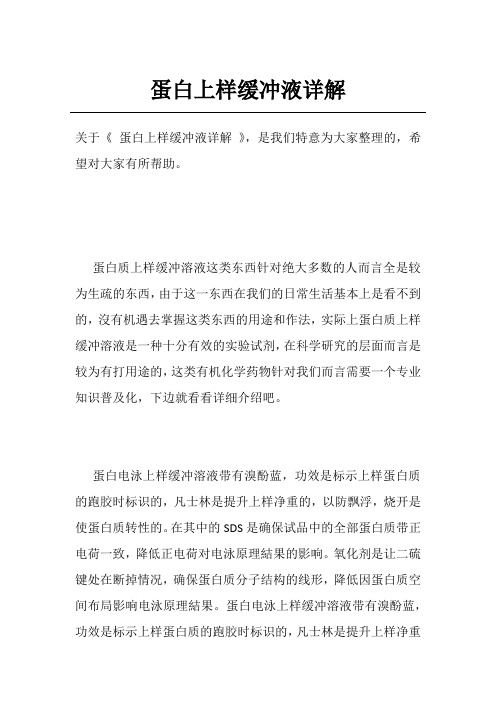 蛋白上样缓冲液详解