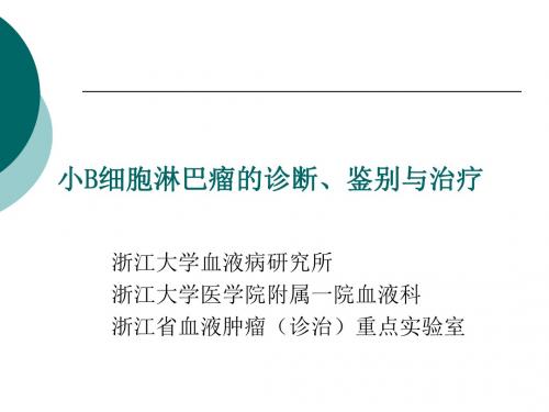 小B细胞淋巴瘤的诊断、鉴别与治疗