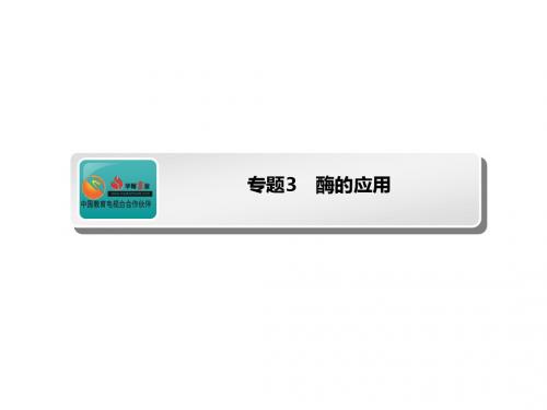 高考生物(人教版)一轮复习课件：选修1.3 专题3 酶的应用