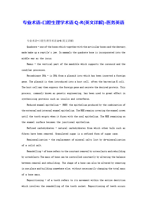 专业术语-口腔生理学术语Q-R(英文详解)-医务英语 