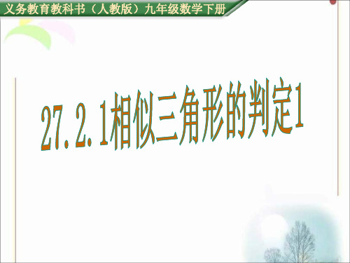 新课标人教版 第二十七章相似27.2.1相似三角形的判定(共13张PPT)