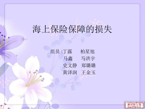 海上保险保障的损失