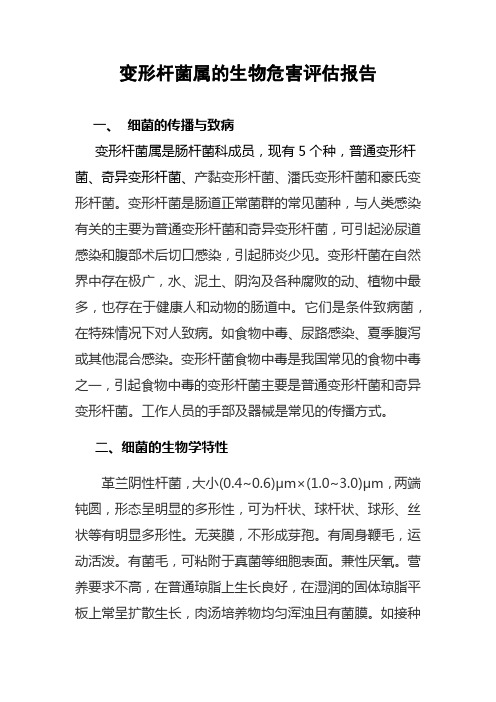 变形杆菌属的风险评估
