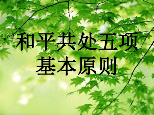 和平共处五项原则