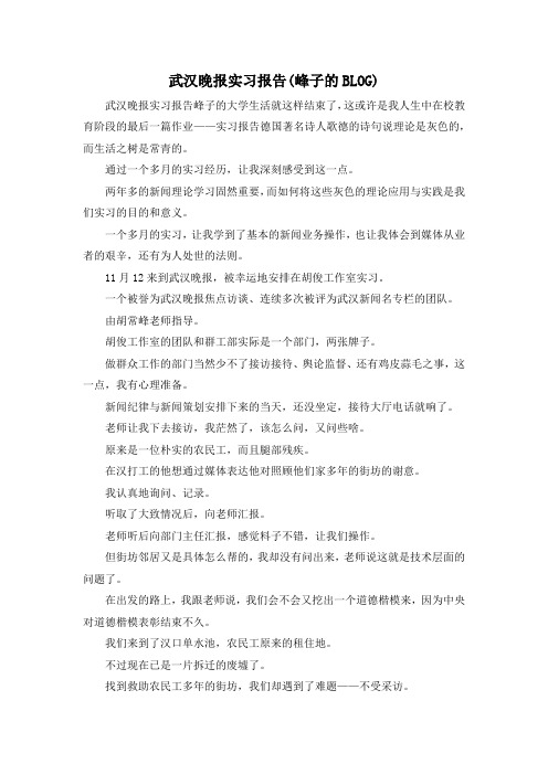 最新-武汉晚报实习报告(峰子的BLOG) 精品