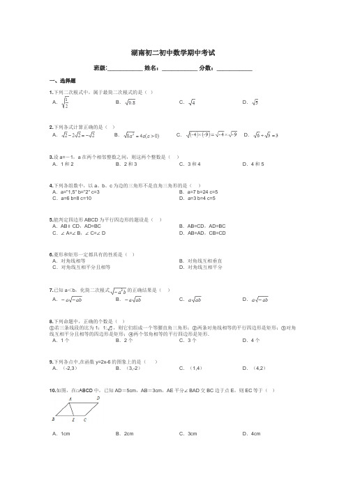 湖南初二初中数学期中考试带答案解析
