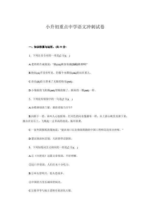 小升初重点中学语文冲刺试题 (含答案)
