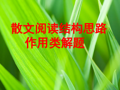 散文结构特点ppt课件