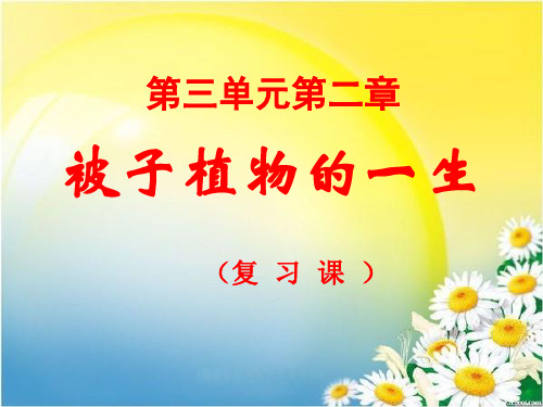 被子植物的一生复习课PPT课件 人教版