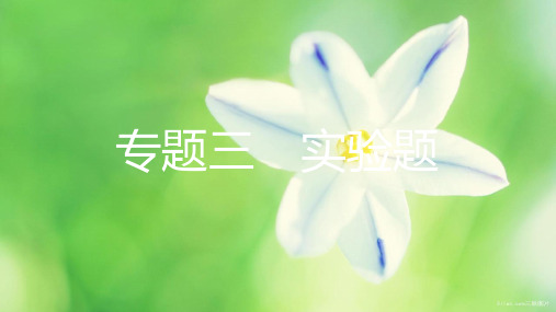 中考物理三实验题复习课件 