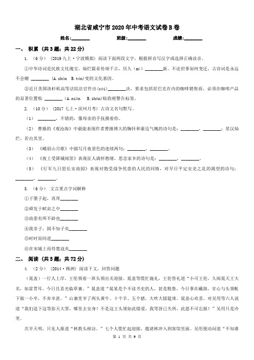 湖北省咸宁市2020年中考语文试卷B卷