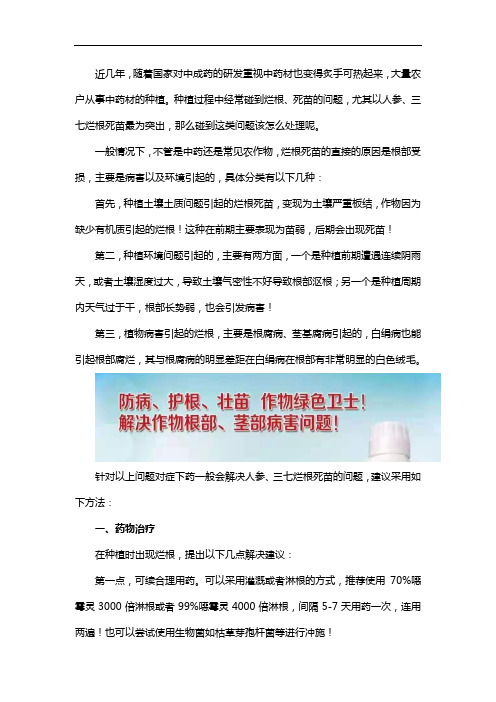 人参、三七烂根死苗怎么治？人参、三七烂根死苗处理方法