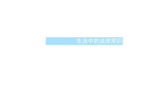 (浙江专用)高考政治大一轮新优化复习42民事权利、义务及人身权课件新人教版选修5