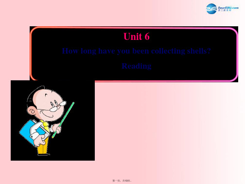 八年级英语上册 Unit 6 How long have you been collecting s