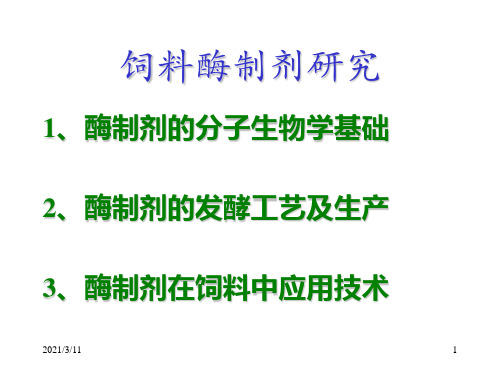 饲料酶制剂技术体系研究要点_PPT幻灯片